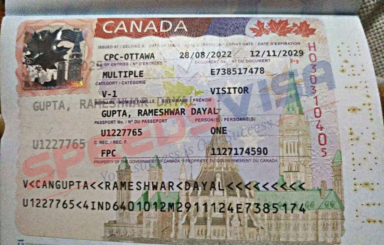 visa detail