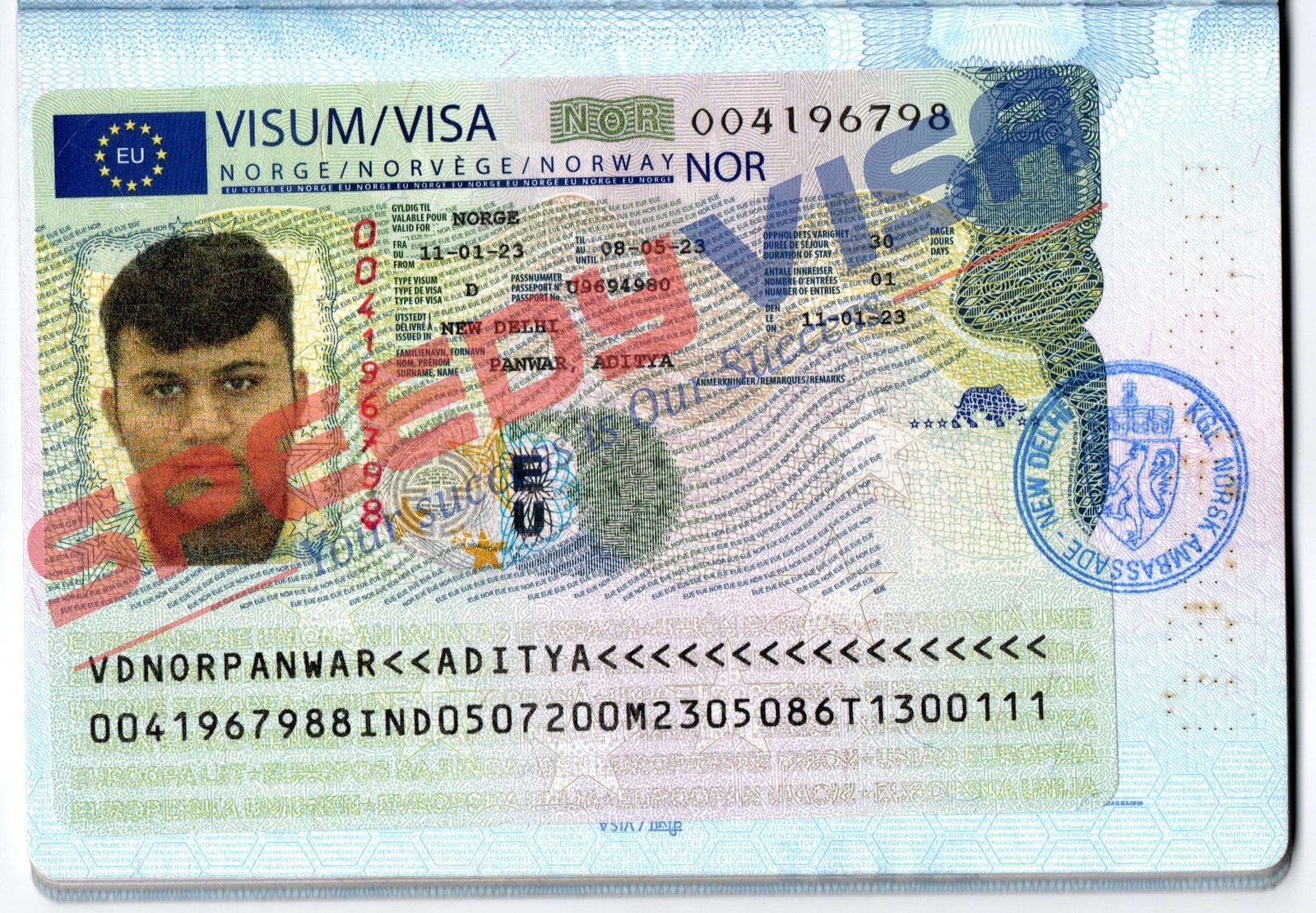 visa detail